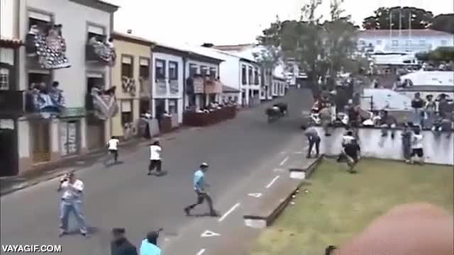 toros,vacas,&iquest;encierro?,de espaldas,empanado