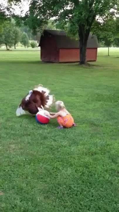 pavo,pelota,hinchable,chutar,ni&ntilde;a,de playa
