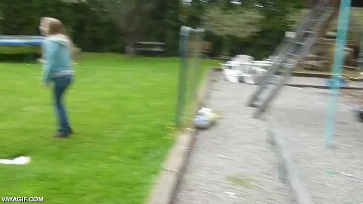 Trata bien a las gallinas y vendrán a recibirte como si fueran un perro animales,gallinas,pollos,gallo,recibir,tratar bien