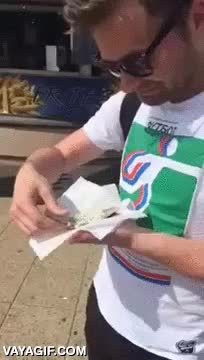 gaviota,arenque,sardina,robar,al vuelo,no debe ser la primera que roba