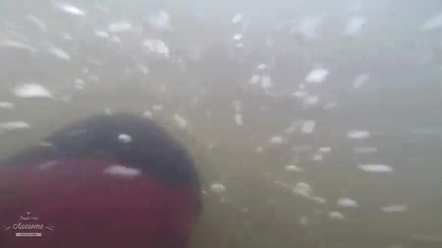 wakeboard,canal,cuerda,ferrari,tirar,como se crucen con un poste ver&aacute;s que guay