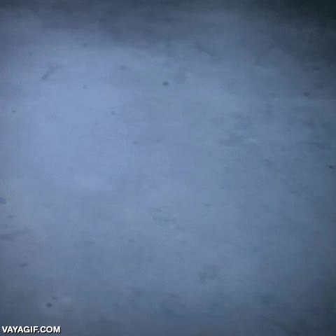 robot,bola,rodar,esfera,el futuro ya est&aacute; aqu&iacute;,caminar