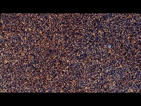 tecnologia,espacio,andromeda,igual tardar&iacute;amos un rato en llegar,60000 a&ntilde;os luz,fotograf&iacute;a