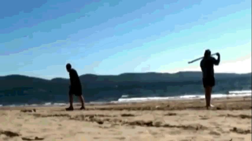 Y esto es lo que pasa cuando no estás atento a lo que está haciendo tu amigo Golpe,Palos,Pegar,Playa,Por no mirar,Rama,Tronco,Vaya viaje