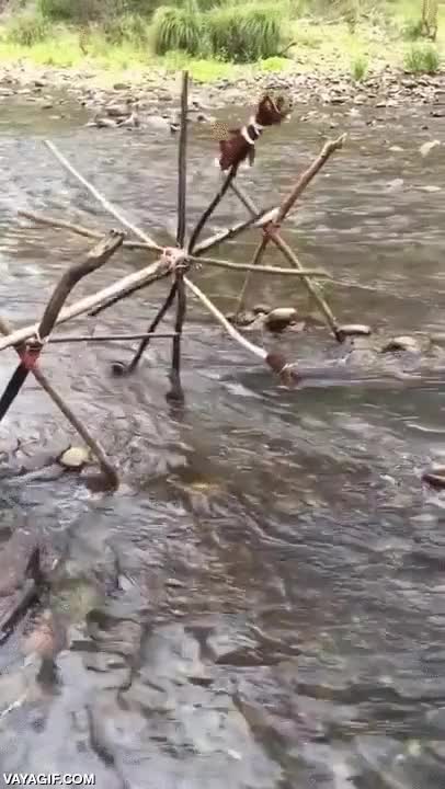 parece imposible pero no,pollo,rustido,hoguera,fuego sobre agua,molino,fuerza,hidraulica,rio