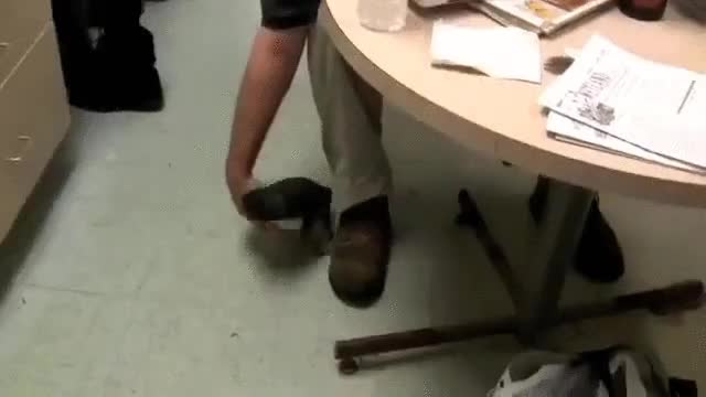 ping&uuml;ino,pingu,rascar,cosquillar,temblor,tembleque