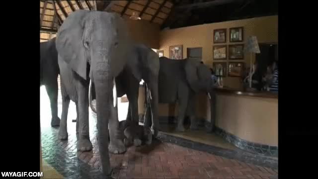 bebe,cria,siesta,dormir,descansar,reposar,aqu&iacute; se est&aacute; fresquito,echalos si eres capaz