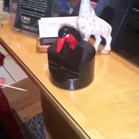 palillos,pajaro,dispensador,mondadientes