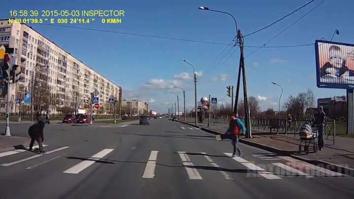 a lo loco,por poco,casi fail,paso de peatones,semaforo,saltarse,igual le hab&iacute;a llamado la novia que estaba sola en casa