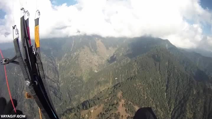 Lo de intentar jugar con las águilas haciendo parapente no siempre sale bien aguila,atacar,volar,chocar,parapente,accidente,tranquilos que se salva