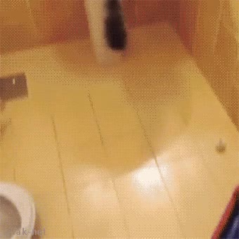 gato,pica,agua,darse un ba&ntilde;o,eso no me lo esperaba,cosas raras que hacen,le gusta el agua