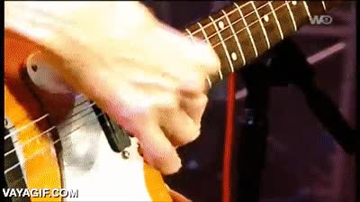 Concierto,Musica,Guitarra,Muse,Nivelon musical