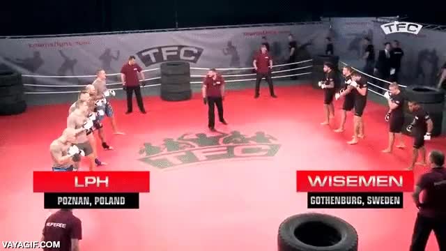 pelea,tfc,team fighting championship,cinco contra cinco,ring,combate