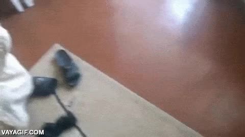 tel&eacute;fono,chancla,zapatilla,sandalia,fingir,siesta,dormido,padre,sofa