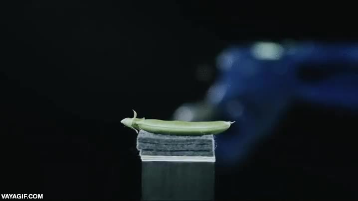 katana,cortar,partir en dos,brazo rob&oacute;tico,como alg&uacute;n d&iacute;a se rebelen...,no podremos hacer nada