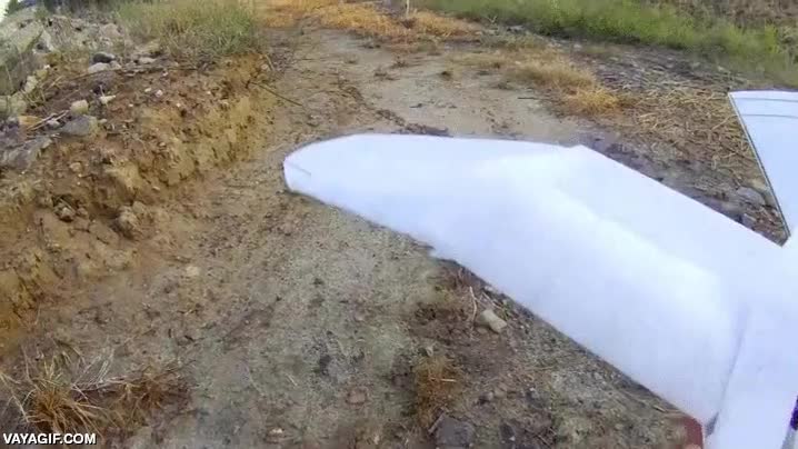 dron,drone,alas,hecho artesanalmente,me sorprende que vuele,mas discreto que un dron con helice