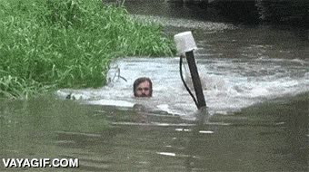 todoterreno,transporte,cruzar,coche,rio,agua