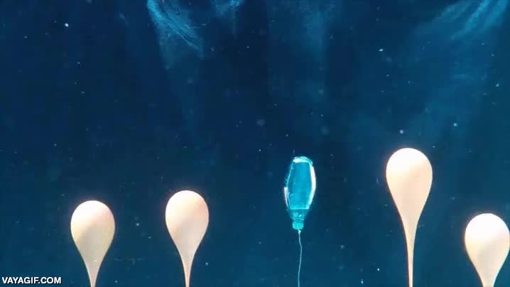 explosion,onda expansiva,agua,nitrogeno liquido,explotar