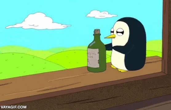 alcald&iacute;a,Madrid,Ana Botella,botella,ping&uuml;ino,bailar,felicidad,tirar