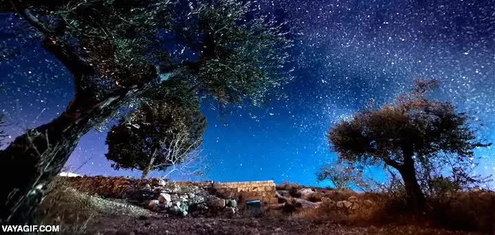 cielo,paisaje,nocturno,estrellas,espectacular,efecto,arboles,dormiria all&iacute; una noche