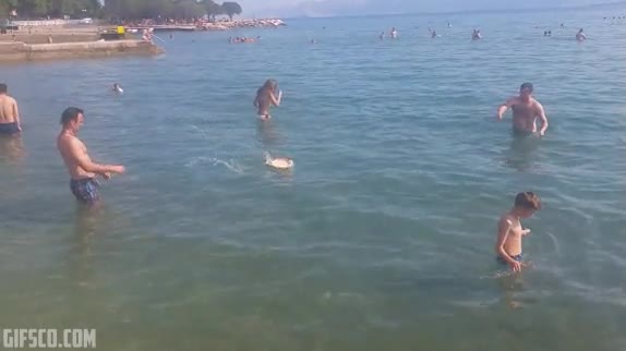 frisbee,lanzar,tirar,playa,agua,mar,jugar,torpes