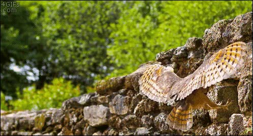 Enlace a Aterrizaje suave, preciso y clavado