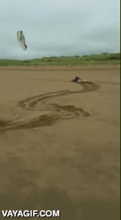 cometa,arrastrar,fail,kitesurf,arena,arrastrarse,tumbado