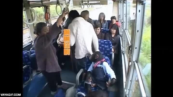 dar ejemplo,aprender,mono,simio,chimpance,ceder el asiento,autobus,transporte publico