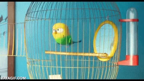 periquito,mascota,ventilador,aviones,flight simulator,tele