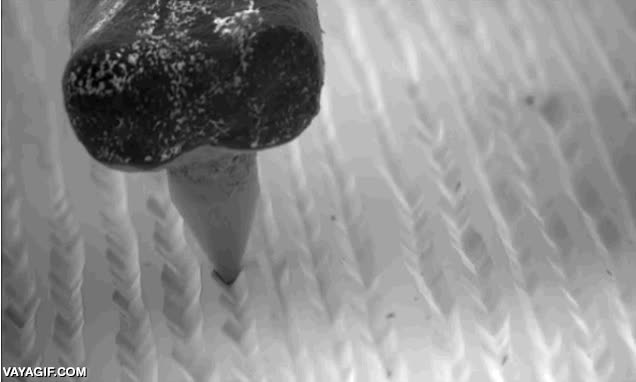 disco,vinilo,microscopio,curioso,ondas