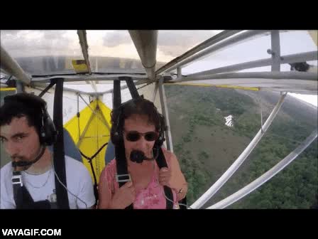 volar,gato,escaparse,locura