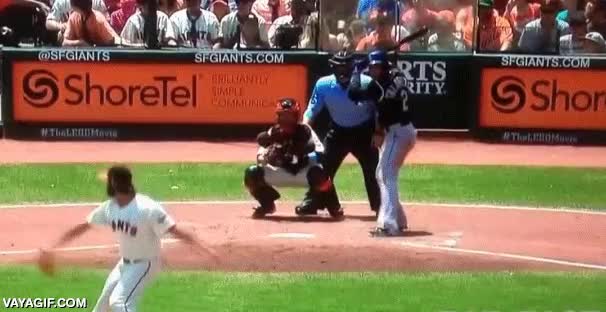 padre del a&ntilde;o,baseball,home run