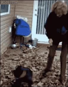 perro,dale cuerda,vueltas