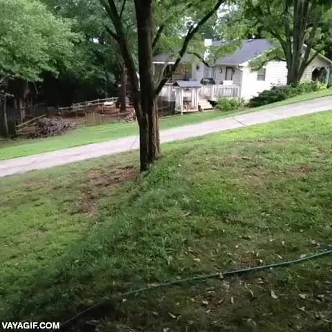 tirarse,colina,coche de juguete,cochecito,bosque,cuesta,descenso