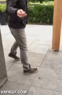 ingeniero,ideaca,jardin,patio,cerveza,nevera,escondida