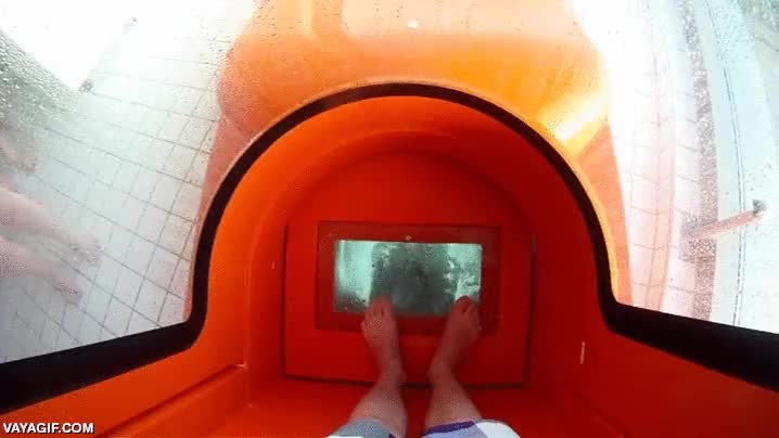 vertical,casi caida libre,dejarse caer,tobogan,parque acuatico