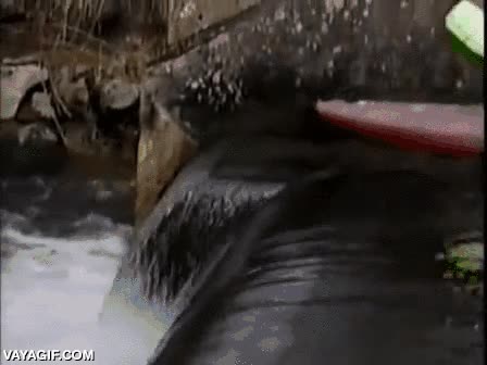 r&iacute;o,atascar,piragua,kayak,fail,quedarse clavado