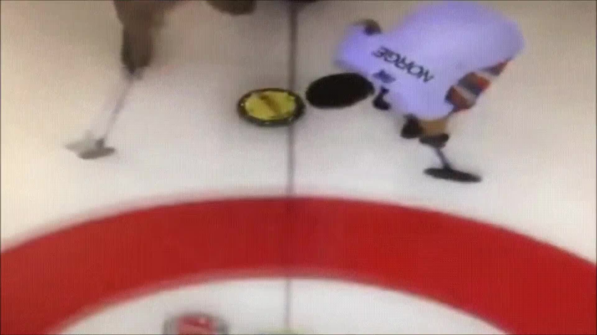 curling,deportes,bid&oacute;n de agua,lo que hace el ocio