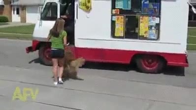 helados,comer,pedir,camion,heladero,perro