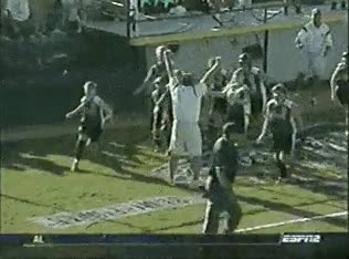 ignorar,pasar de el,celebrar,ganar,victoria,jugadoras,entrenador,baseball