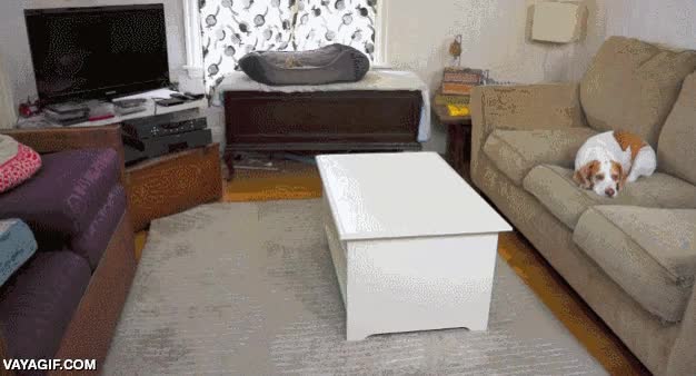 locura,miles de bolas,piscina de bolas,pelotas,felicidad extrema,regalo,sorpresa,cumplea&ntilde;os