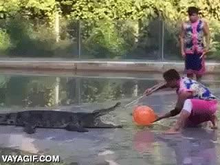 compa&ntilde;ero,resbalar,vaya susto,cocodrilo sacamuelas extreme edition,dejad a los animales en paz!!,globo