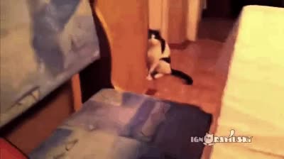 teletransporte,velocidad,rapido,si no est&aacute; editado,guau