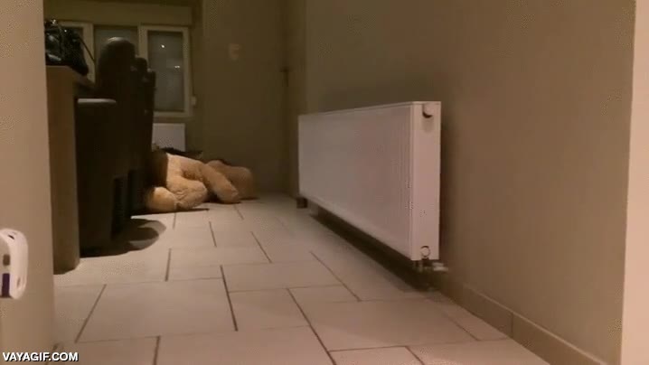 perro,peluche,arrastrar,m&aacute;s grande que &eacute;l,gigante