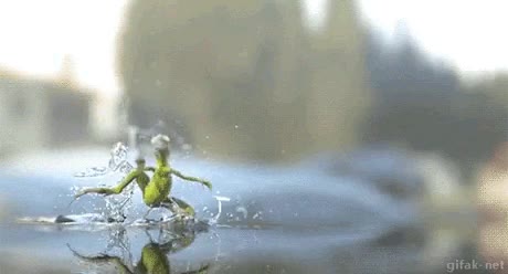 lagarto,caminar,patas,jesucristo,por encima del agua,olvidar,pizza,horno