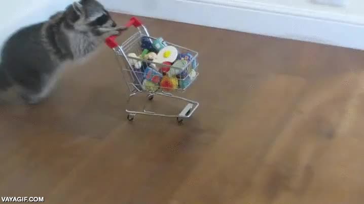 hacer la compra,mapache,carrito,supermercado,lo m&aacute;ximo