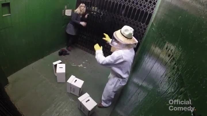 broma,camara oculta,abejas,apicultor,vaya troll,ascensor,encerrado