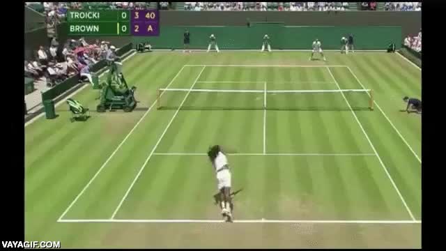 wimbledon,punto,resbal&oacute;n bien aprovechado,saltar,tenis