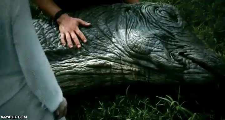 Jurassic World,pelicula,tell my wife I'm a dinosaur,decidle a mi esposa que soy un dinosaurio