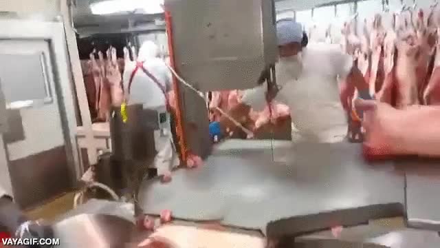 carnicero,cortar,sierra,efectividad,velocidad,habilidad,descuartizar